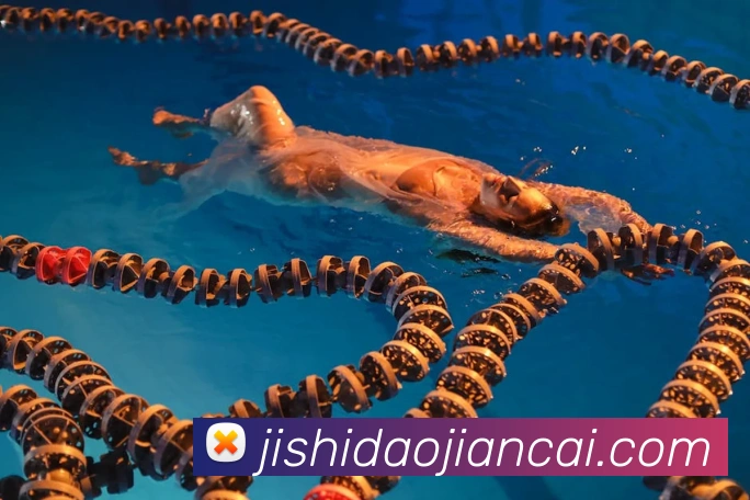 世界杯开户平台平台生态图